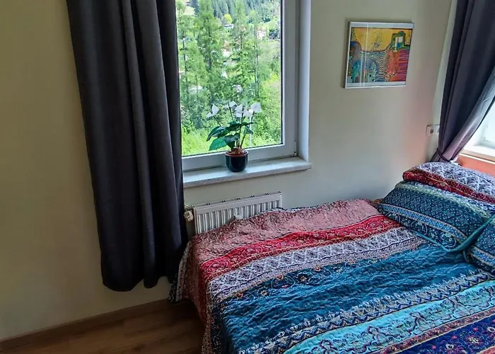 Haus Schubert-top6 바트 가슈타인